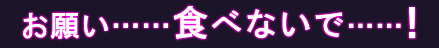 システム説明